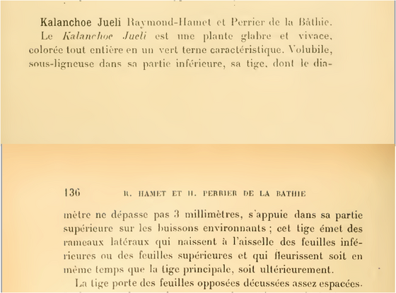 05Hamet & H.Perrier (1914).png